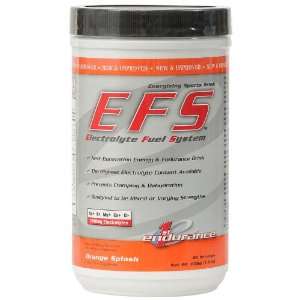  2011 First Endurance EFS Sports Drink Health & Personal 