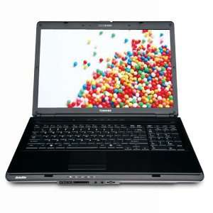 Toshiba Satellite L355 S7834 17 Inch Laptop (2.0 GHz Intel 