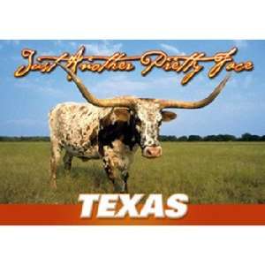  Texas Postcard 12512 Another Pretty Face Case Pack 750 