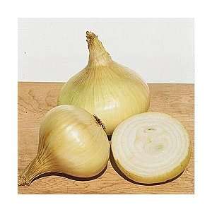  Todds Seeds   Short Day Hybrid Onion   Yellow Granex F1 