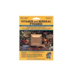   Fishcare 77A Vitamin & Mineral Pyramid 1Cd