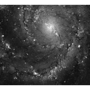   Imaging of Hot Gas and Star Birth in M101   24 X 21.5 