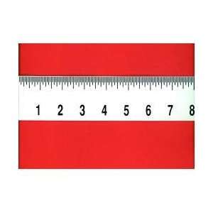  Low Vision Ruler