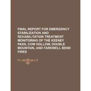 Final report for emergency stabilization and rehabilitation treatment 