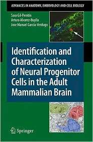 Identification and Characterization of Neural Progenitor Cells in the 