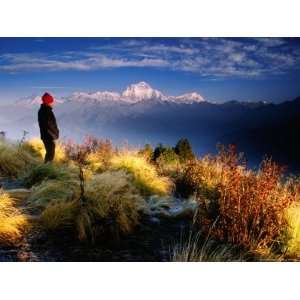 Trekker Watches Sunrise Over Dhaulagari Mountain, Poon Hill, Nepal 