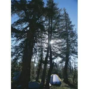  Camping Near John Muir Trail, Yosemite Natinoal Park 