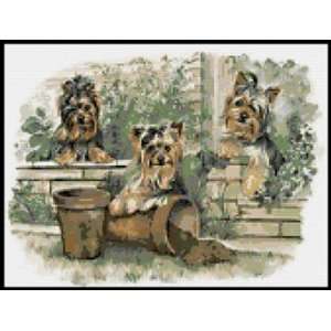  Yorkshire Terrier Puppies Counted Cross Stitch Kit 