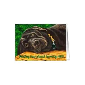  Funny Birthday ~ 40 Years Old ~ Labrador Dog Card Toys 