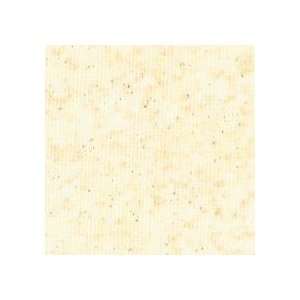  Interceramic Metalstone 13 x 13 Platinum Ceramic Tile 