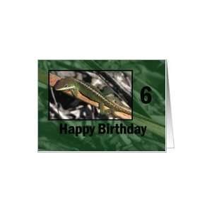  Garden Lizard ~ Birthday 6 yr old Card Toys & Games