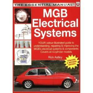   Systems (The Essential Manual) [Paperback] Rick Astley Books