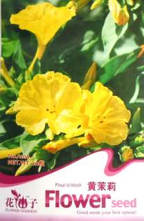 A106 Flower Yellow Four O Clocks Mirabilis jalapa Seeds  