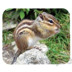  Chipmunk Mouse Pad 