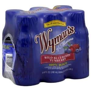 Wymans, Juice 6Pk Blubry Ymbry, 8 OZ (Pack of 4)  Grocery 
