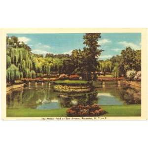 1940s Vintage Postcard Willow Pond at East Avenue   Rochester New York