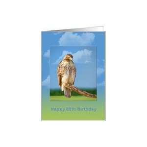  Birthday, 88th, Rough Legged Hawk Card Toys & Games