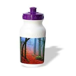   Forests Blue Mist In Autumns Forest   Water Bottles