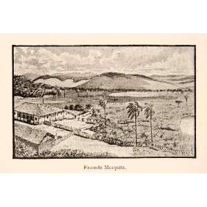  1886 Print Landscape Fazenda Mesquita Brazil Hills House 