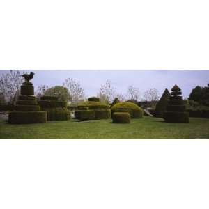 Hedges and Topiaries in a Garden, Wilmington, Delaware, USA Stretched 