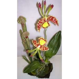  16 Tropical Orchid Arrangement (#2)