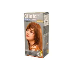  Somang Henna Clinic HN Color #N10 (Golden Brown) Beauty