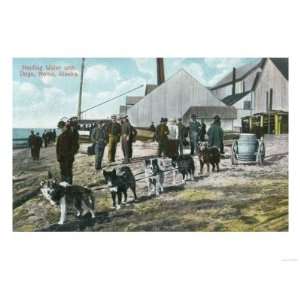  Hauling Water with Dogs   Nome, AK Premium Poster Print 