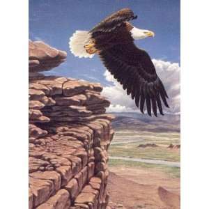   Anderson   Freedom on the High Plains   Bald Eagle
