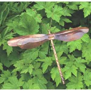  Staked (K/D) Dragonfly   Flamed Copper, Great Garden 