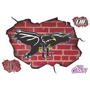  Long Island University   BreakOut Graphics Sports 