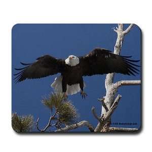  Eagle Pad Animals Mousepad by  