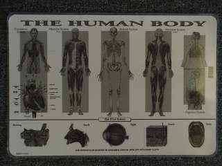 Learning Placemat The Human Body *NEW* M. Ruskin Co.  