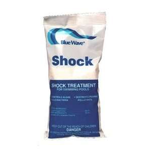 BLAST OUT® SHOCK   12 x 1 lb. bags Health & Personal 