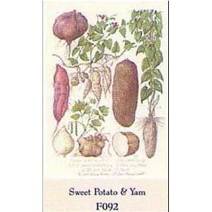  Sweet Potato And Yam Poster Print