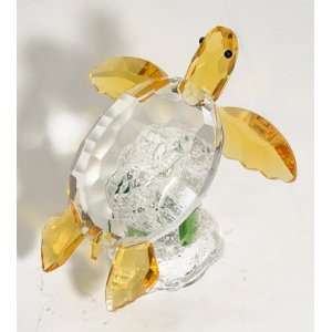  Crystal Clear Standalone Longevity Turtle On Rock with 