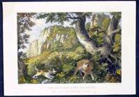 1831 Baldwin & Craddock Antique Print Boar Hunt Germany  