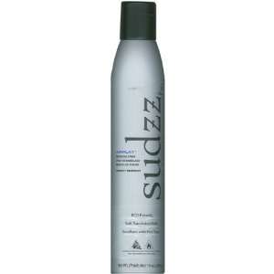  SUDZZ FX Airplay Designing Spray 10oz Beauty