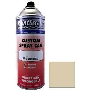  12.5 Oz. Spray Can of Silver Birch Metallic Touch Up Paint 
