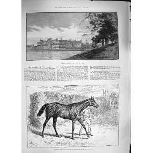  1889 WELBECK ABBEY DONOVAN HORSE DERBY DUKE PORTLAND