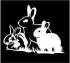 WHITE Vinyl Decal   Rabbits 3 bunnies bunny rabbit farm