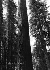 Six Rivers Forest Logging High Climber california 1959  
