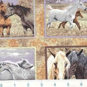  45 Wide Horse N Around Blocks Natural Fabric By The Yard 