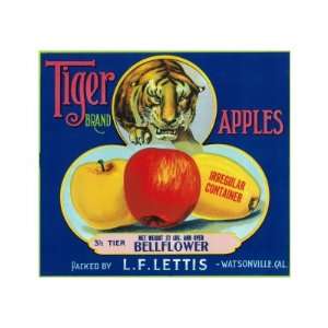  Tiger Brand Apple Label, Watsonville, California Giclee 