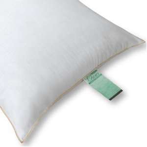 Standard 20x26 Wholesale Green Choice Pillows by JS Fiber Hospitality 