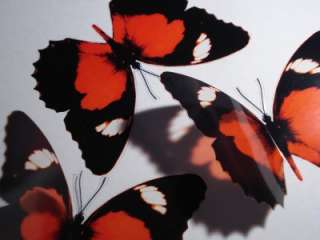 3D Red Lacewing Butterfly Suncatcher Mirror Window  