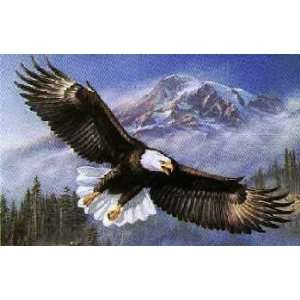  James Meger   Anthem   American Bald Eagle
