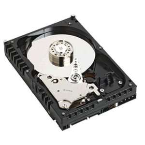  WD Raptor WD740ADFD   Hard drive   74 GB   internal   3.5 