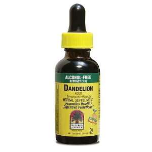  Natures Answer® Dandelion Root