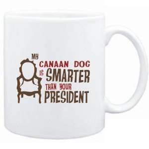 Mug White  MY Canaan Dog IS SMARTER THAN YOUR PRESIDENT   Dogs