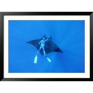 Diver Holds on to Giant Manta Ray, Mexico Sports Framed Photographic 